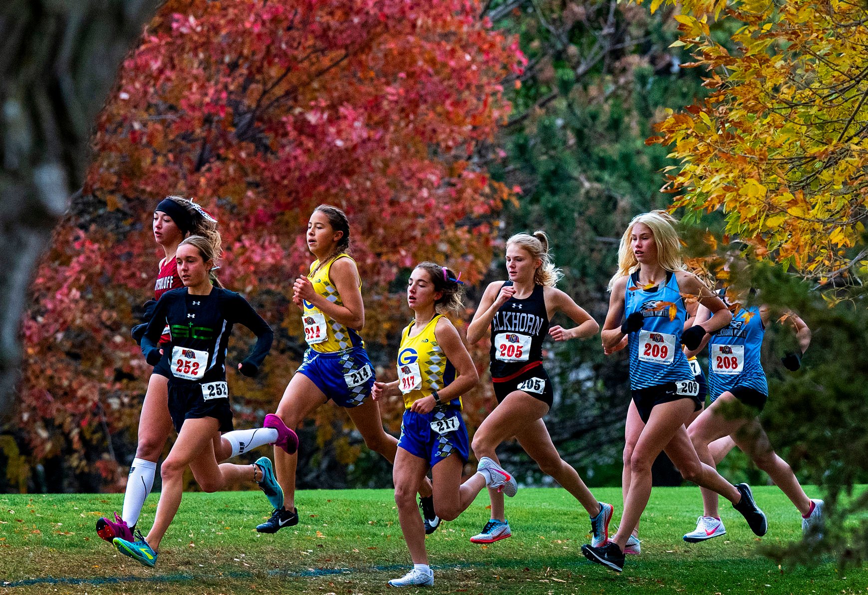 State cross country, 10.23